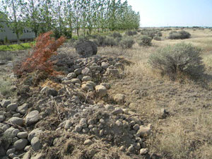 SLG-78 Finished Screening