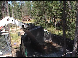 Loading screened material.  High Quality Finds